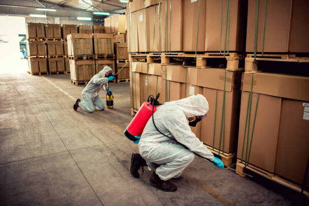 Best Pest Prevention Services  in Wrightsville Beach, NC