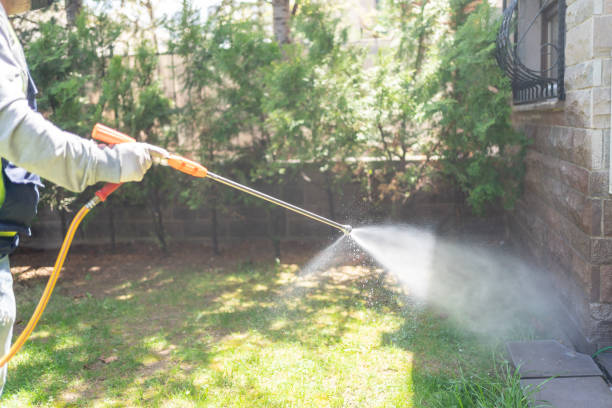 Best Pest Removal Services  in Wrightsville Beach, NC