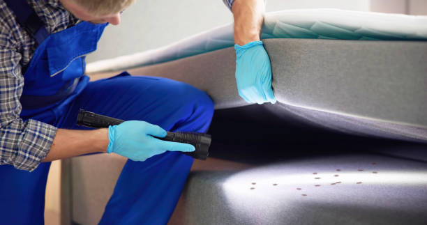 Best Rat Extermination Near Me  in Wrightsville Beach, NC