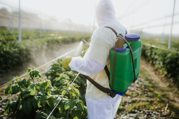 Professional Pest Control in Wrightsville Beach, NC